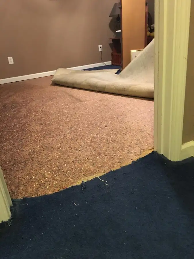 Carpet pad removal revealing water damage during Drying & Dehumidification in Okeechobee